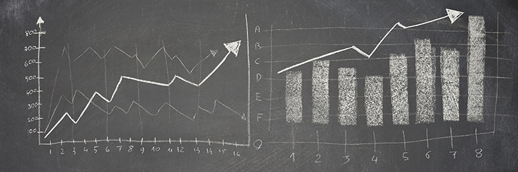 Financial Statements Disclaimer