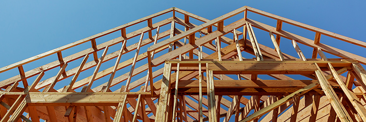 Compliance Next Steps Process