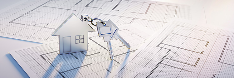 Single-Family Tax Credit Program